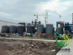 黄冈晨鸣浆纸有限公司(聚脲)