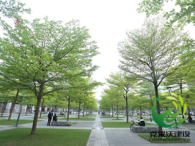 城市广场绿化景观